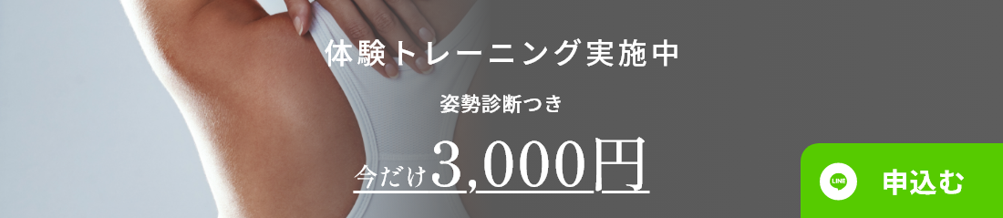 姿勢パーソナル診断